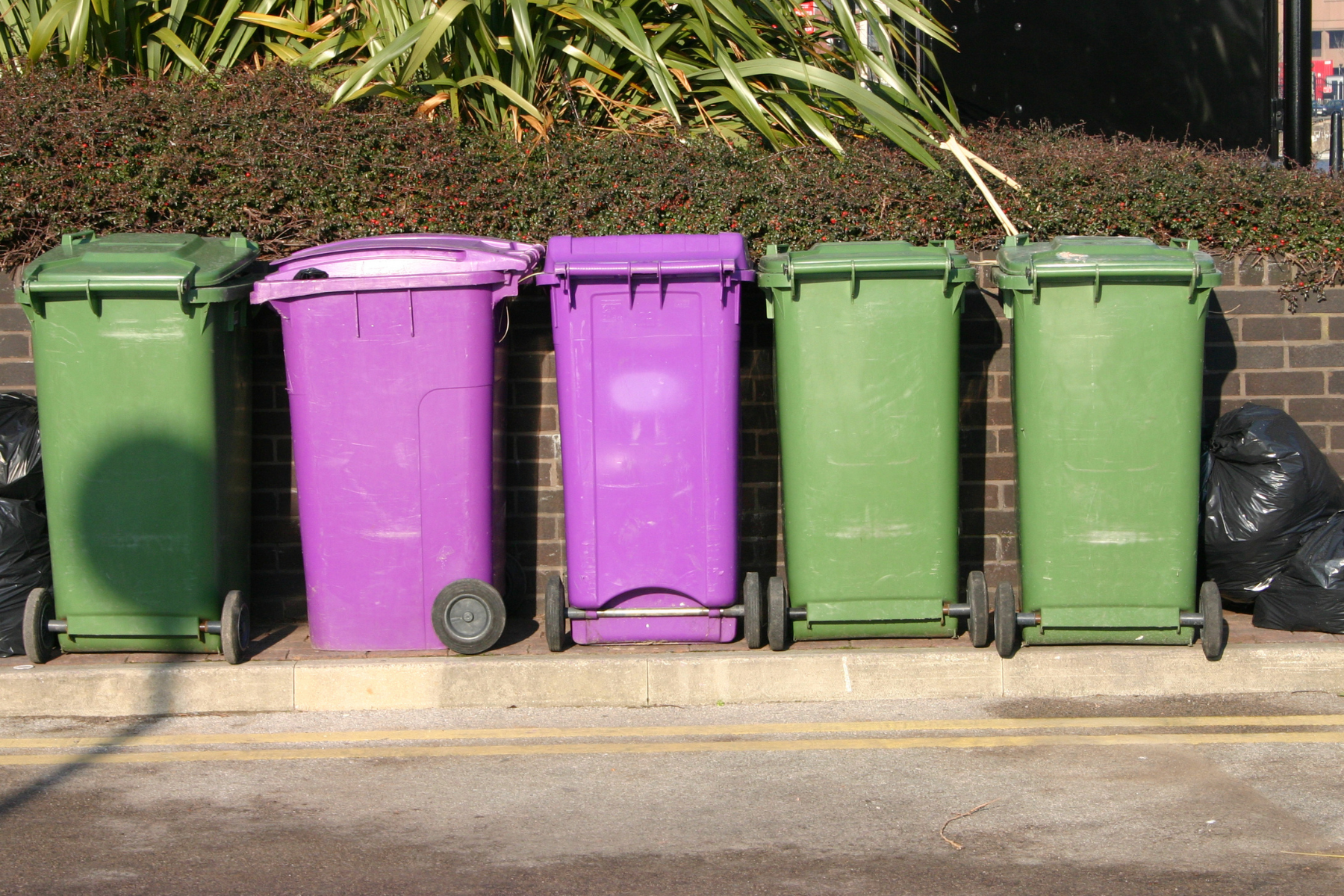 Purple and green bins