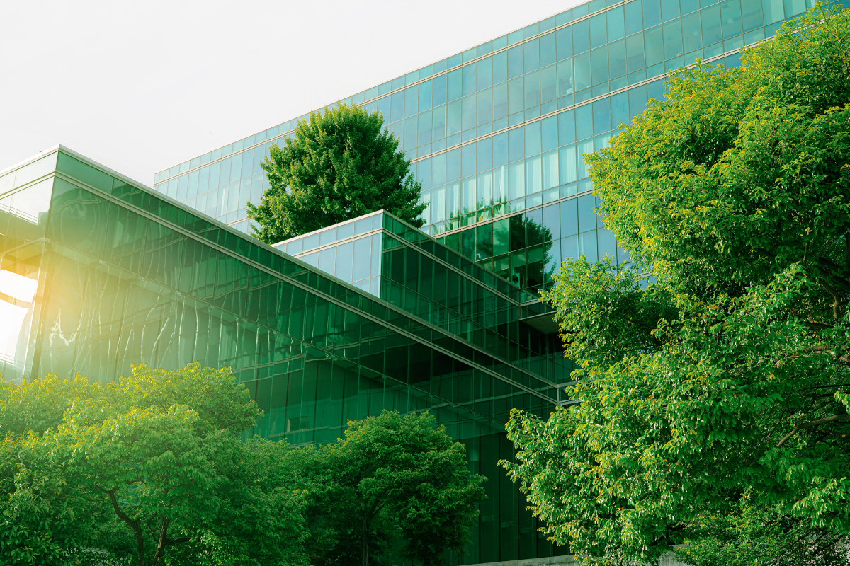 Trees surrounding glass building
