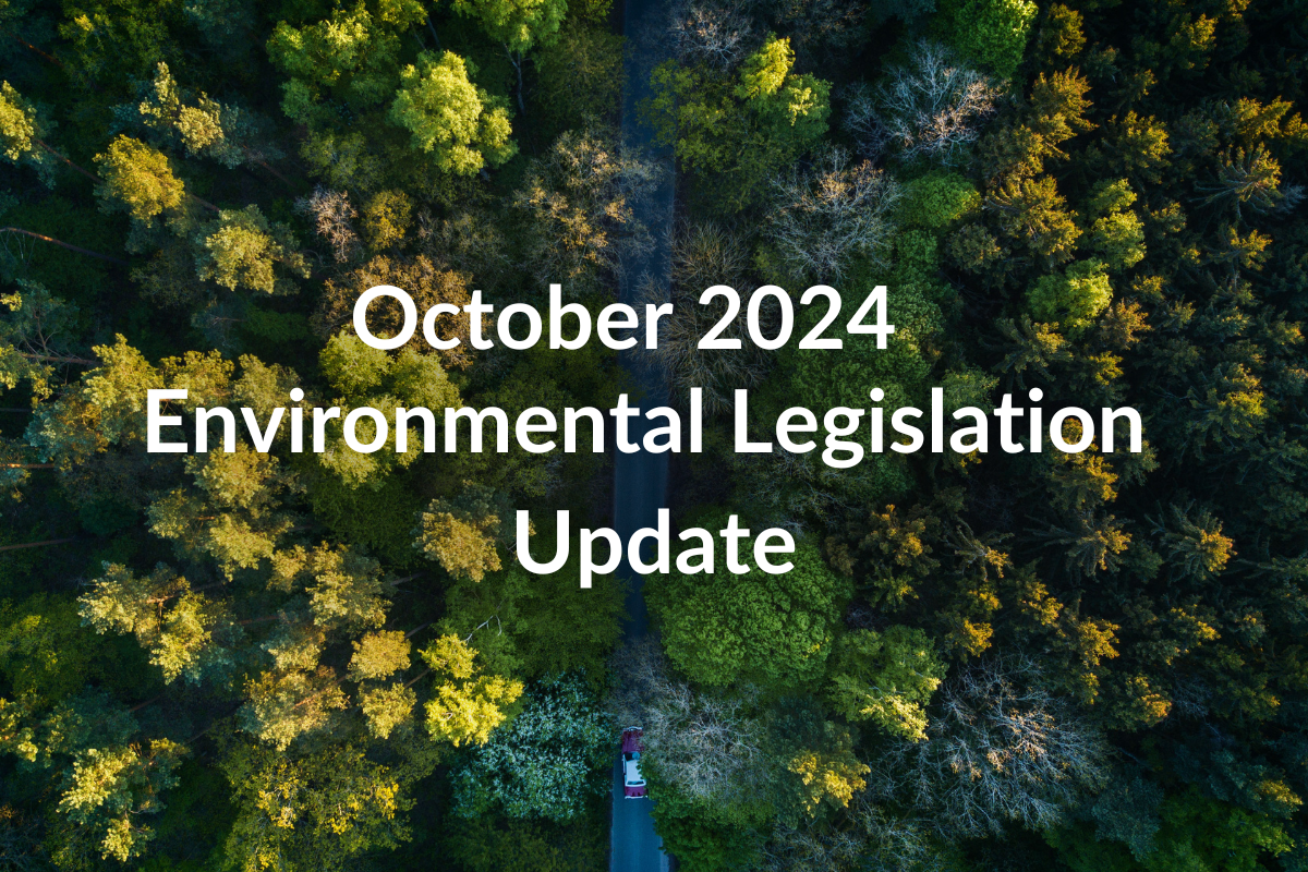 Tree background with October 2024 legislation update text overlay