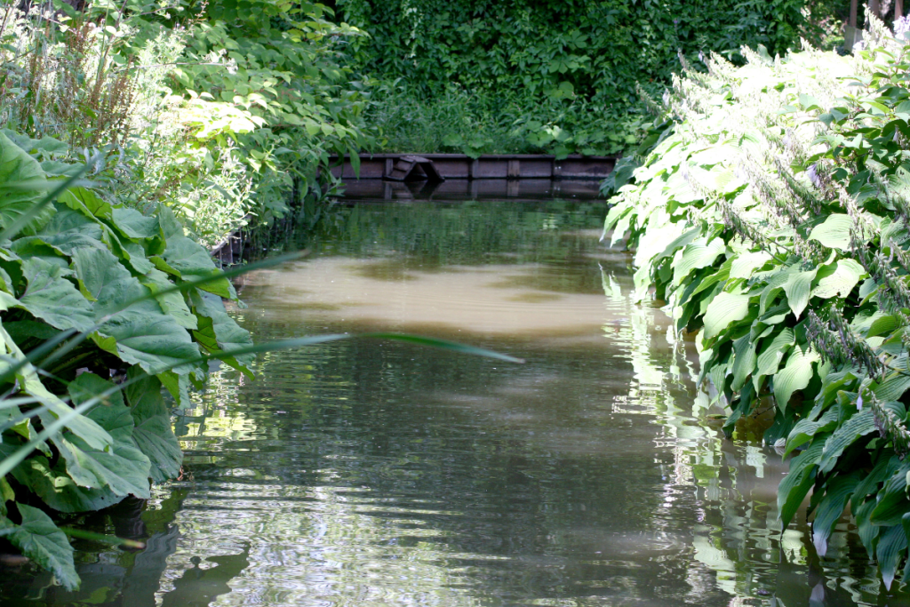 A photo of a watercourse in Abergavenny with leafy plants along its banks