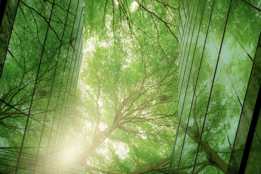 Glass corporate buildings mirroring the greenery from trees