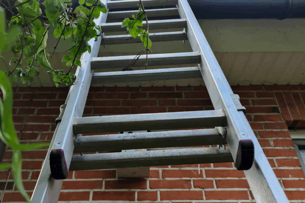 Red-bricked building with greenery falling from the top with a silver metal ladder