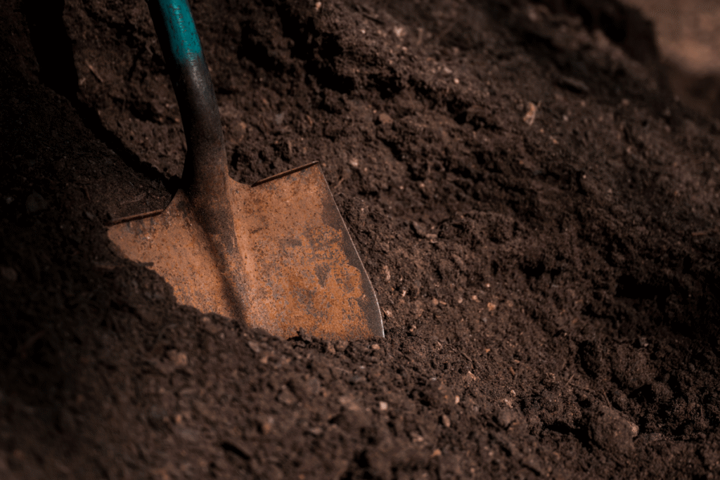Compost up close with shovel