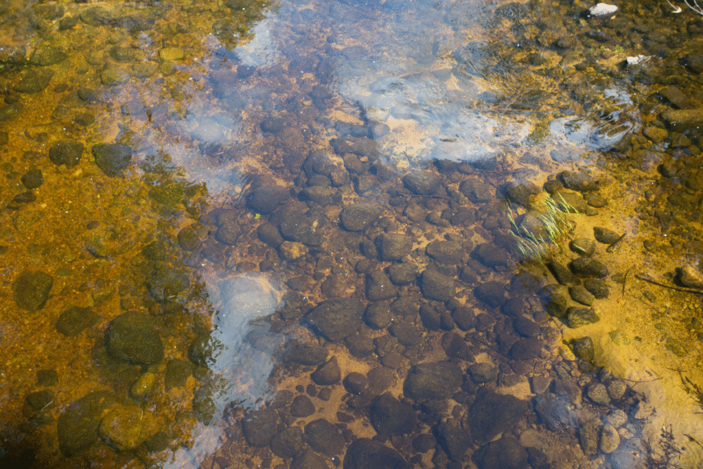 Close up of the Souhegan River in New Hampshire, USA