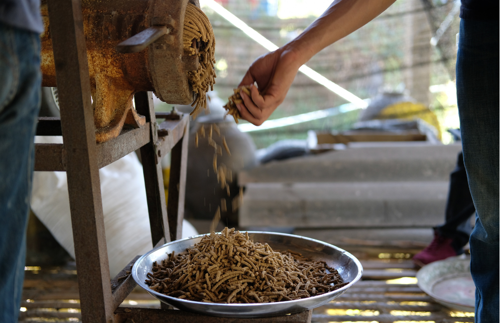 Pellet manufacturing machine