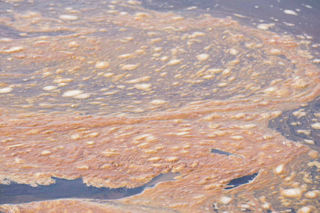 deleterious substances on the top of water polluting it