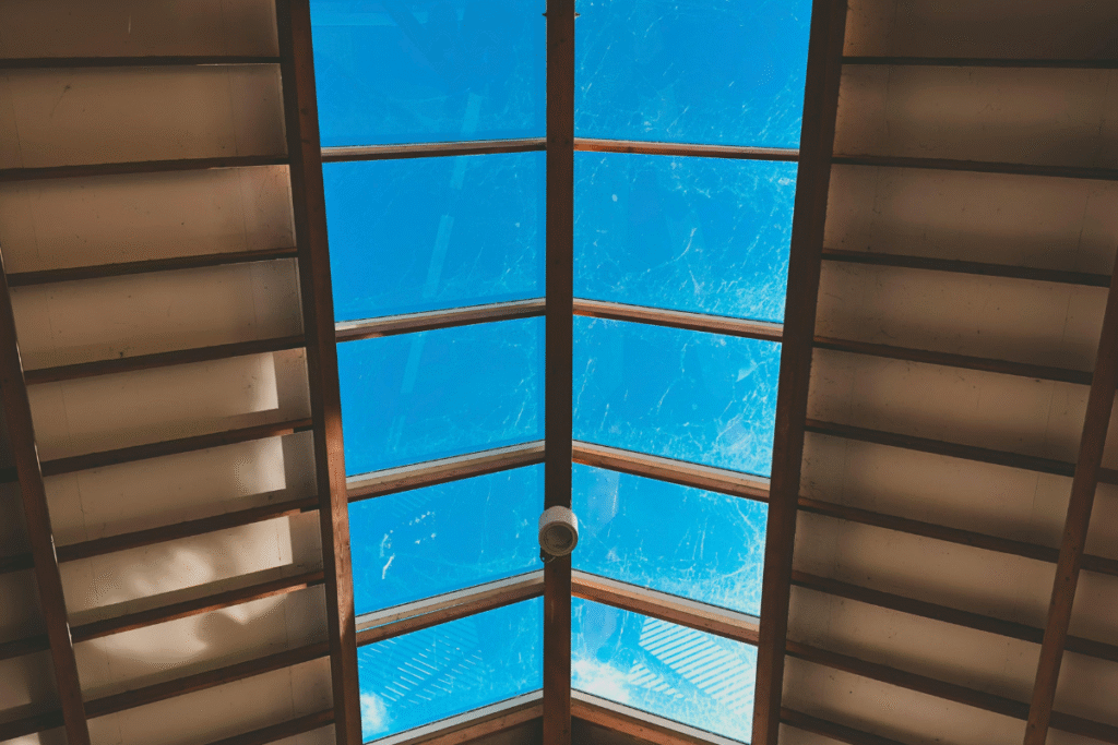 below the skylights on a farm with blue sky shining through the glass panels
